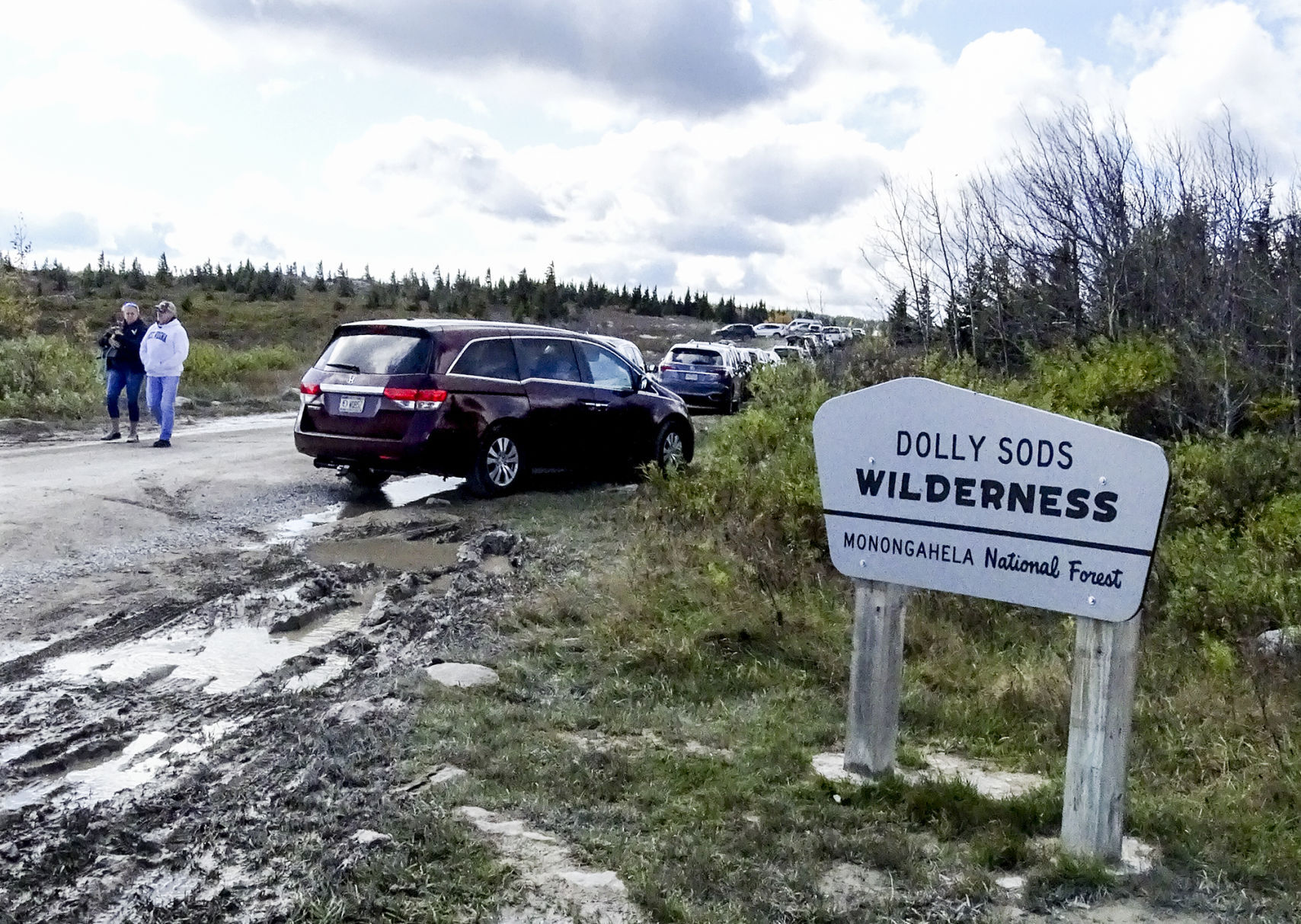 dolly sods3